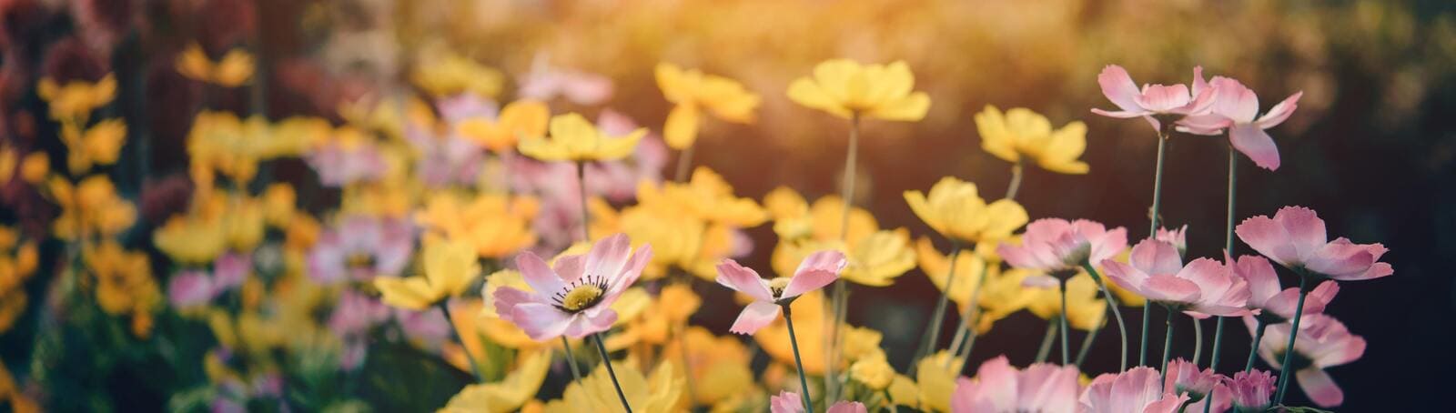Discover the Tranquility of Nature at Loft Thai Spa’s Garden Spa Experience
